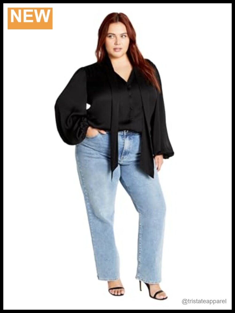 Plus Size Puff Sleeve Bow Tie Neck Blouse